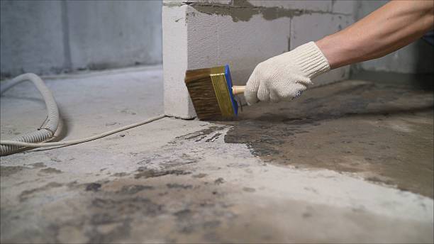 Crawl space vapor barrier installation in Altamont, NY